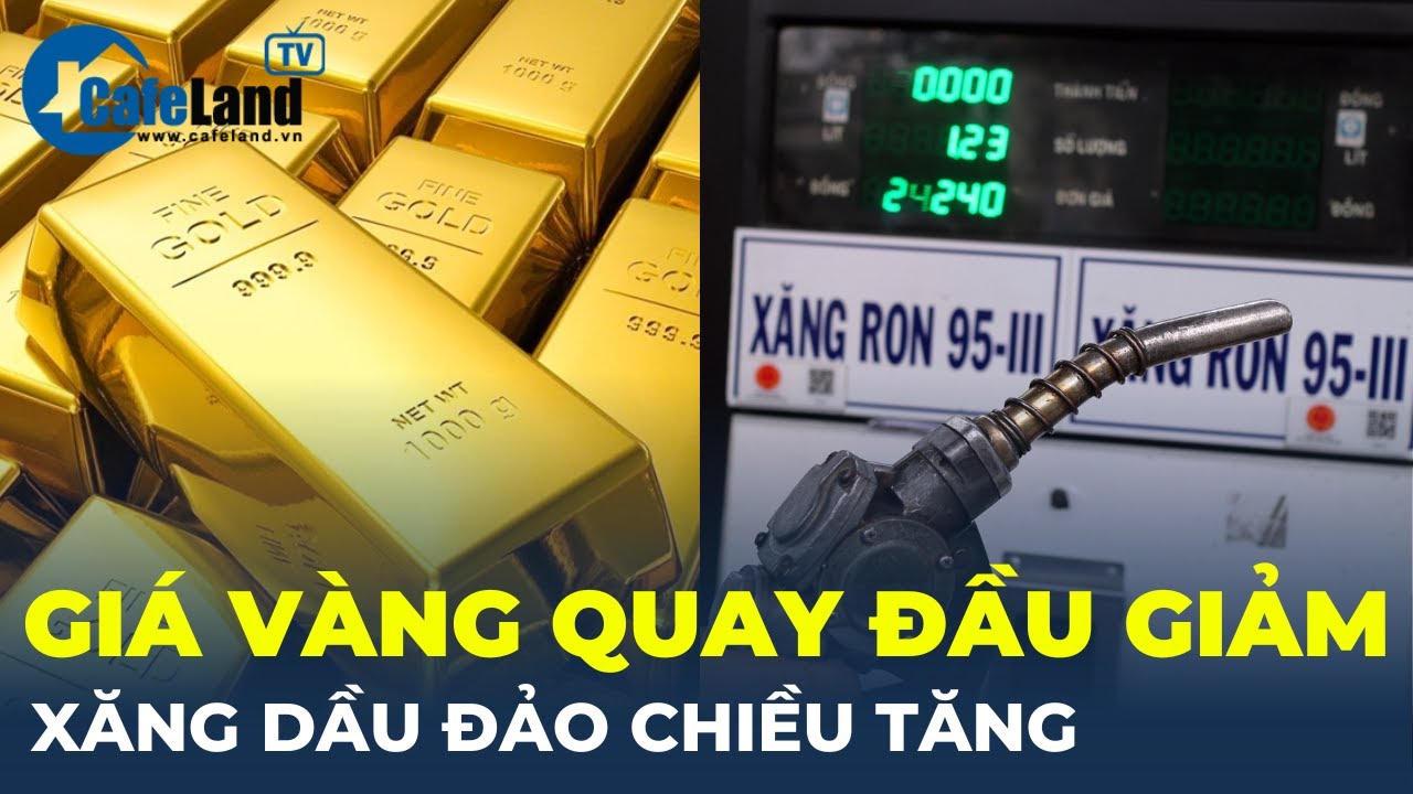 Cập nhật sáng 8/6: Giá vàng quay đầu giảm, xăng dầu đảo chiều tăng | CafeLand