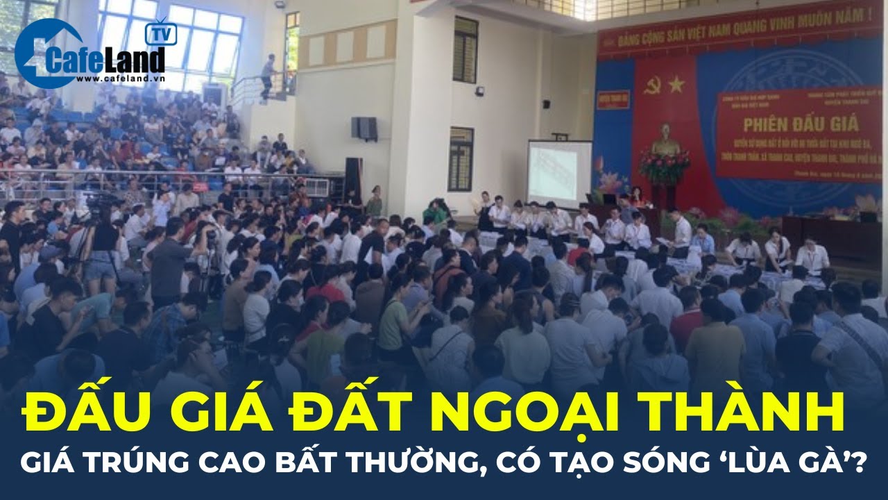 Đấu giá đất ngoại thành, giá trúng CAO BẤT THƯỜNG: Có phải nhằm tạo sóng "LÙA GÀ"? | CafeLand