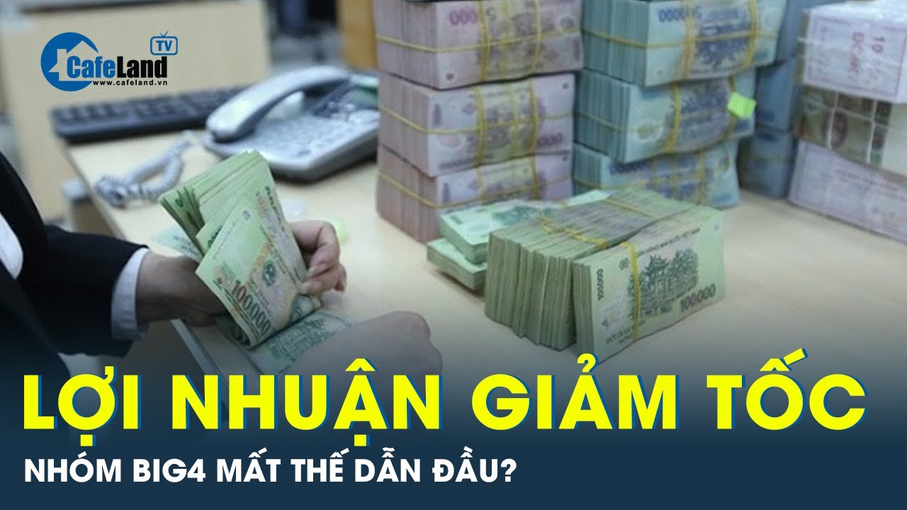 Lợi nhuận ngân hàng giảm tốc sẽ ảnh hưởng đến tăng trưởng kinh tế? | CafeLand