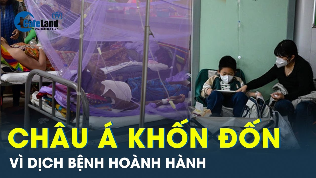 Những cơn dịch bệnh đang khiến các nước châu Á báo động đỏ về thảm họa y tế | CafeLand