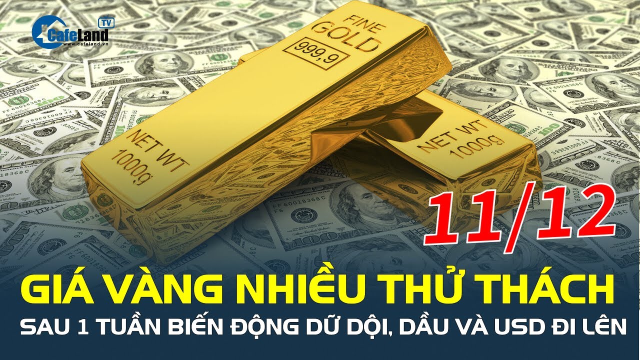 Sau một tuần BIẾN ĐỘNG DỮ DỘI, giá vàng 11/12 nhiều thử thách, dầu và USD đi lên| CafeLand