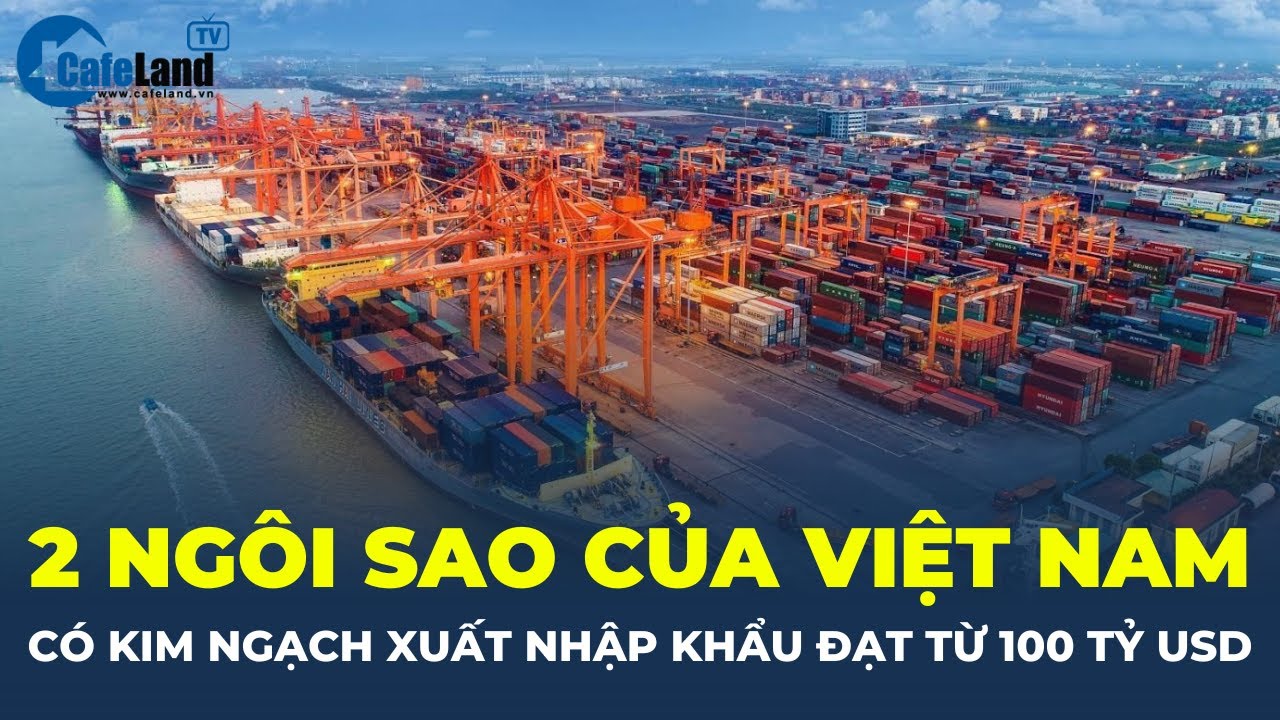 2 "ngôi sao" của Việt Nam có KIM NGẠCH XUẤT NHẬP KHẨU đạt từ 100 tỷ USD | CafeLand