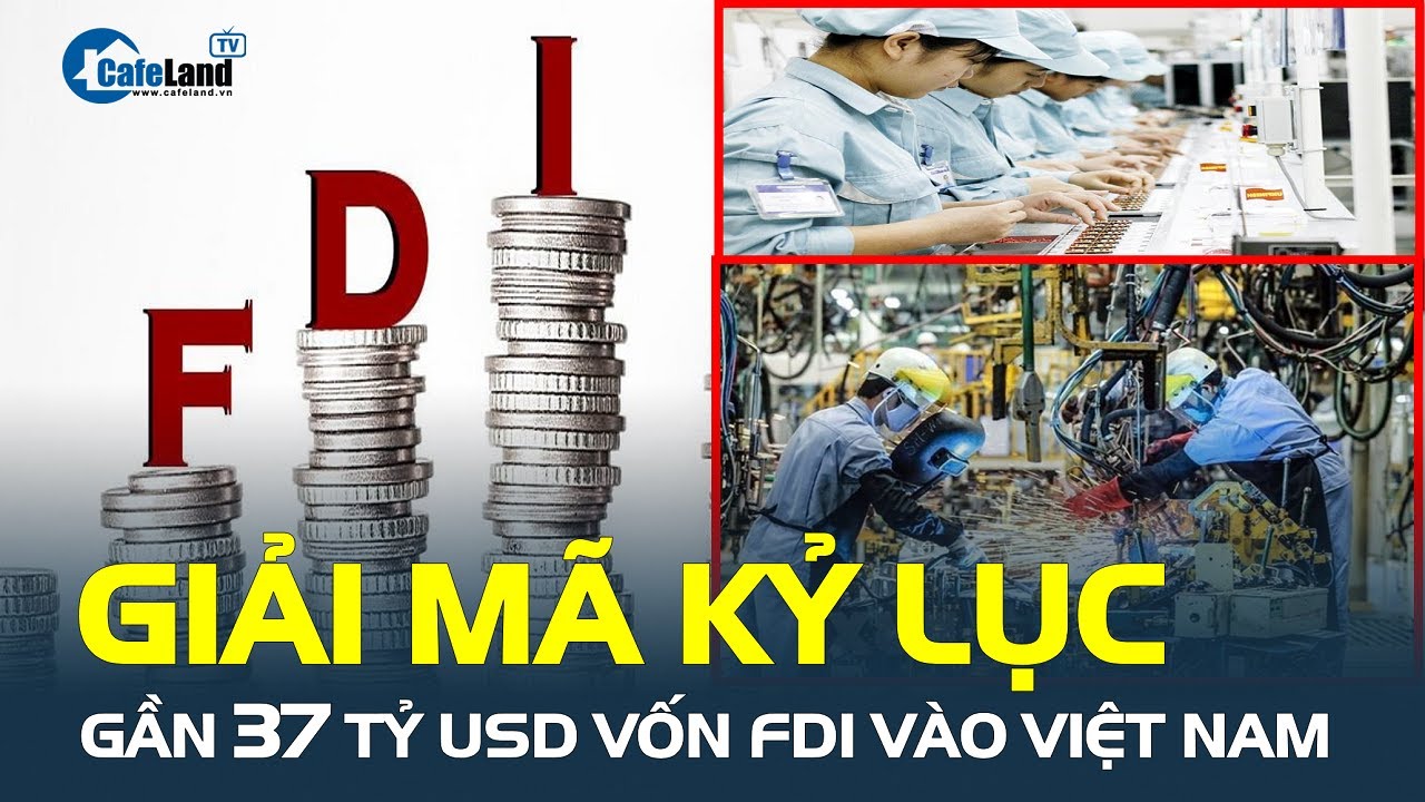 Giải mã KỶ LỤC: Gần 37 tỷ USD vốn FDI vào Việt Nam trong năm 2023 | CafeLand