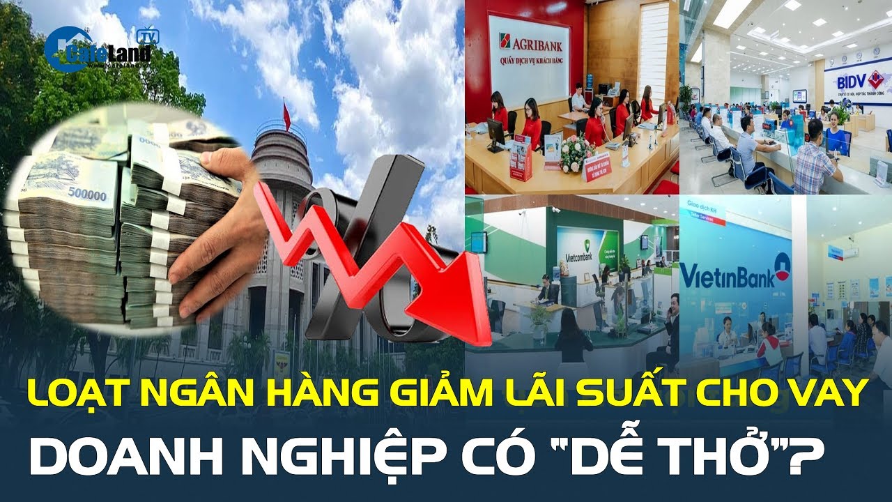 Loạt ngân hàng đồng thuận tiếp tục giảm lãi suất cho vay, doanh nghiệp có “dễ thở”? | CafeLand