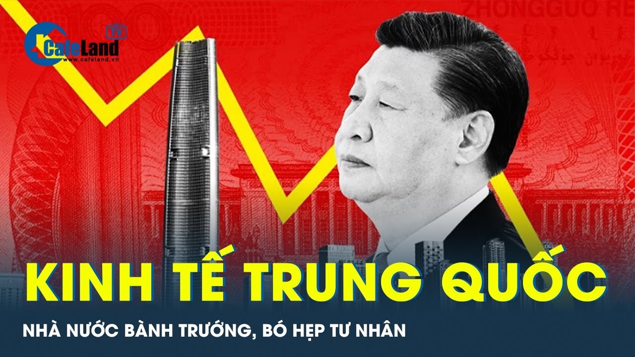 Bàn tay chủ tịch Tập Cận Bình đang siết chặt kinh tế tư nhân? | Tin tức