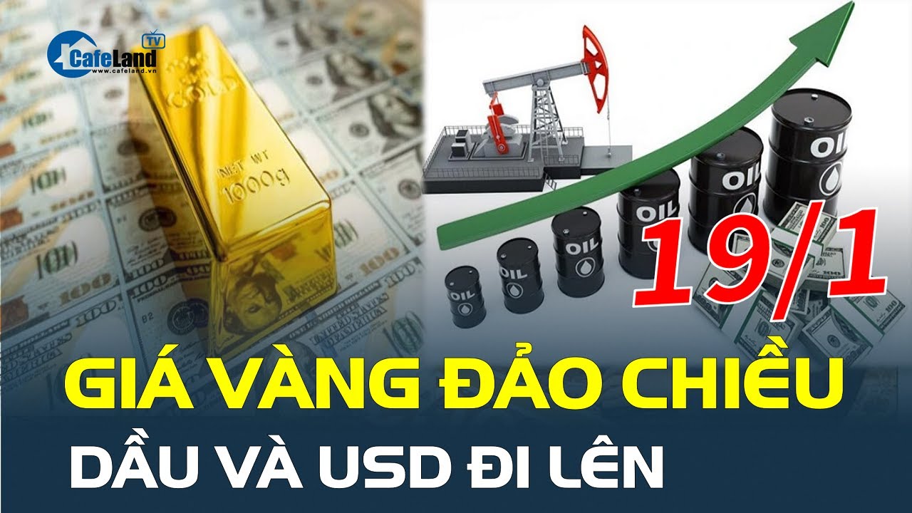 Giá vàng hôm nay 19/1 bất ngờ ĐẢO CHIỀU, dầu và USD đi lên | CafeLand