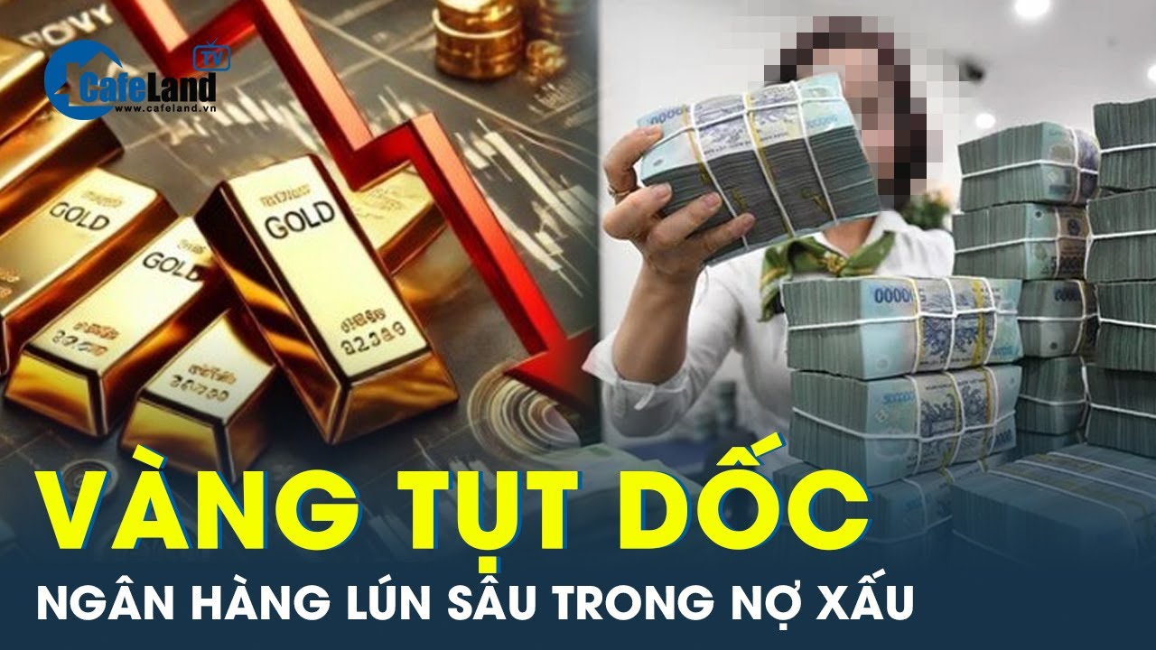 Ngân hàng đang lún sâu trong nợ xấu, đầu tư vàng suy giảm | Cafeland