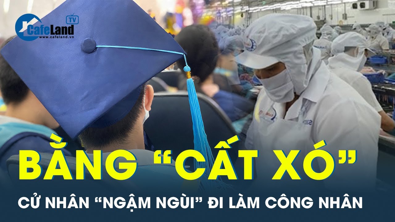 Cử nhân ngậm ngùi để bằng “cất xó” để đi làm công nhân vì không tìm được việc | CafeLand