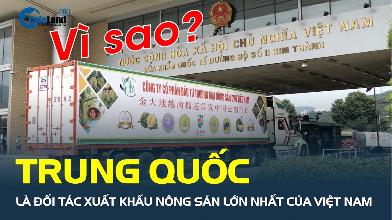 Vì sao Trung Quốc là đối tác XUẤT KHẨU NÔNG SẢN lớn nhất của Việt Nam? | CafeLand