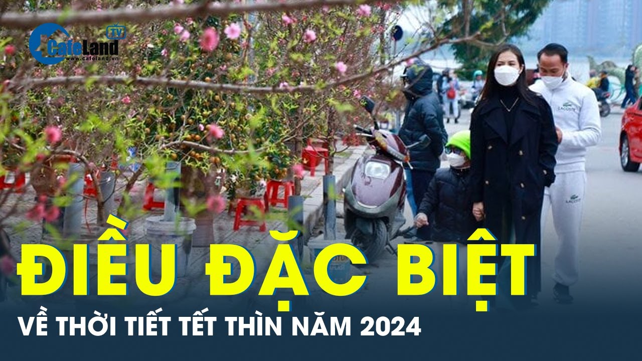 Điều thú vị và độc đáo về thời tiết Tết Thìn trong suốt 60 năm qua | CafeLand