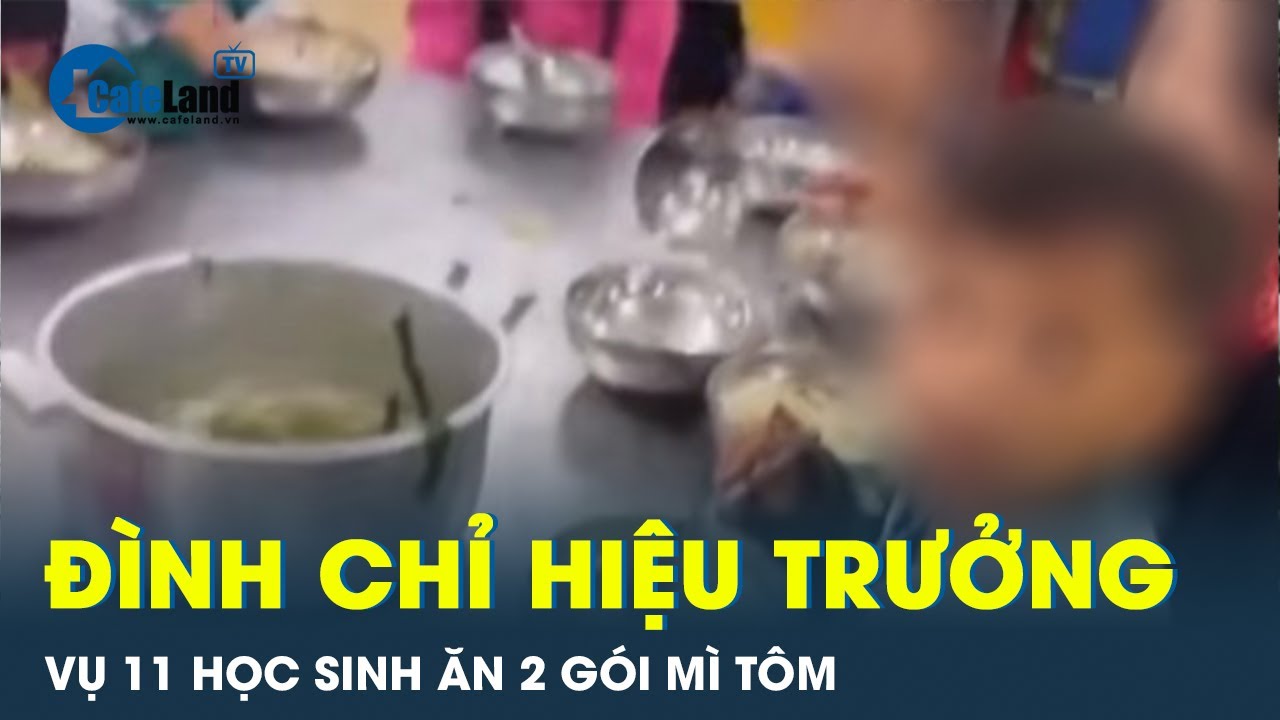 Đình chỉ Hiệu trưởng vụ bữa ăn bán trú 11 học sinh ăn 2 gói mì tôm chan cơm | CafeLand