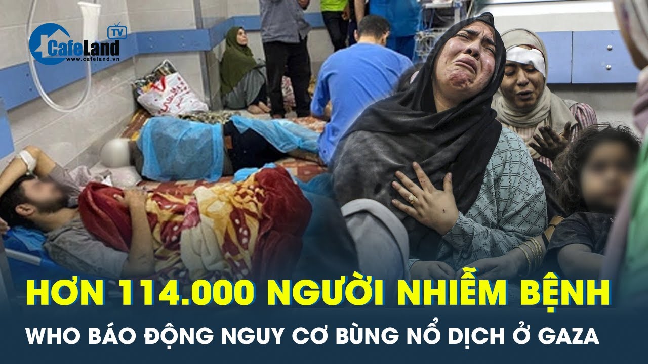 Hơn 114.000 người mắc bệnh, WHO cảnh báo nguy cơ lây lan dịch bệnh ở Gaza | CafeLand