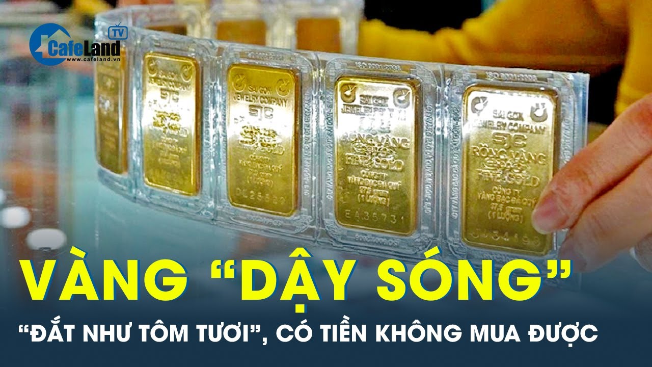 Thị trường vàng “dậy sóng”, vàng “đắt như tôm tươi”, mỗi người chỉ được mua 3 chỉ | CafeLand