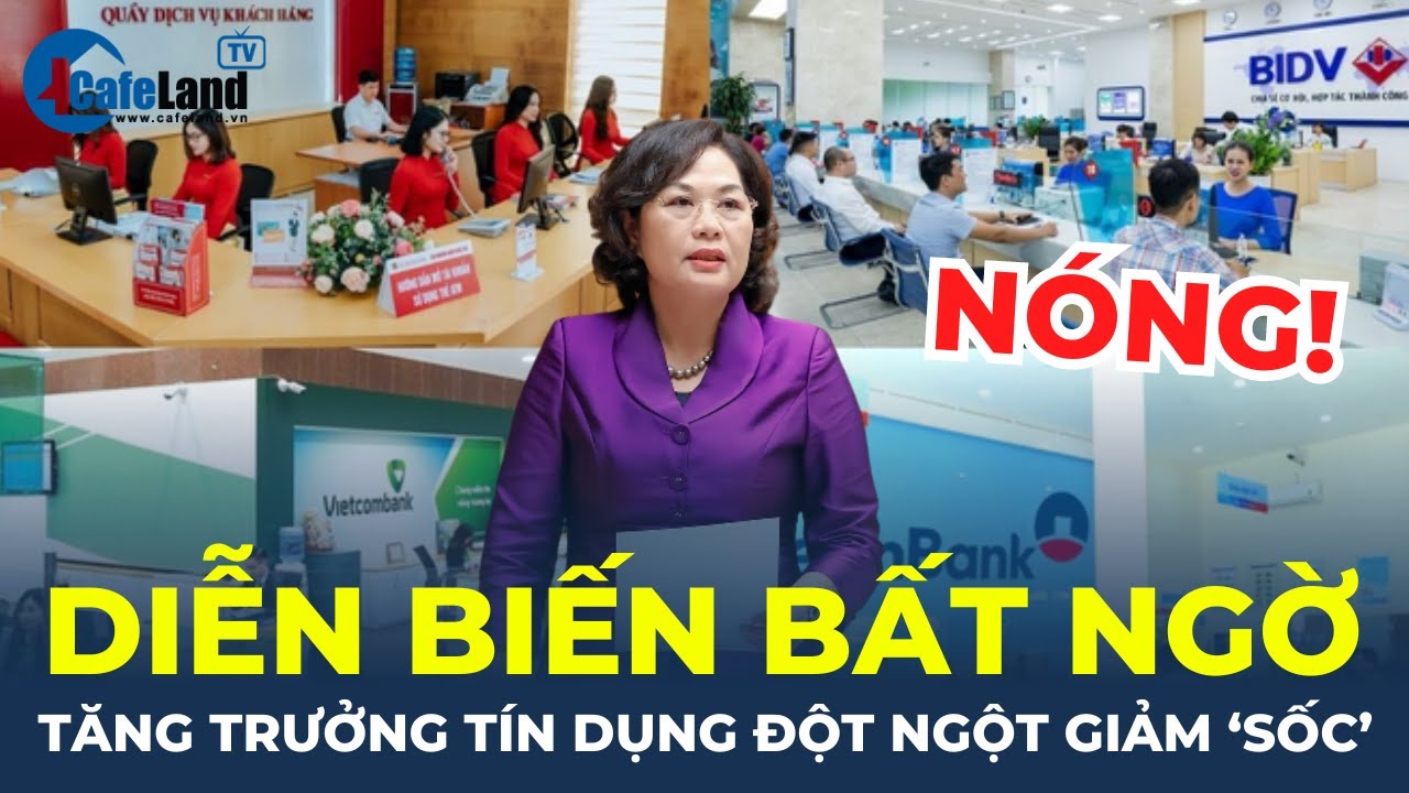 Thống đốc Ngân hàng Nhà nước: Tăng trưởng tín dụng đột ngột "giảm bất ngờ" | CafeLand