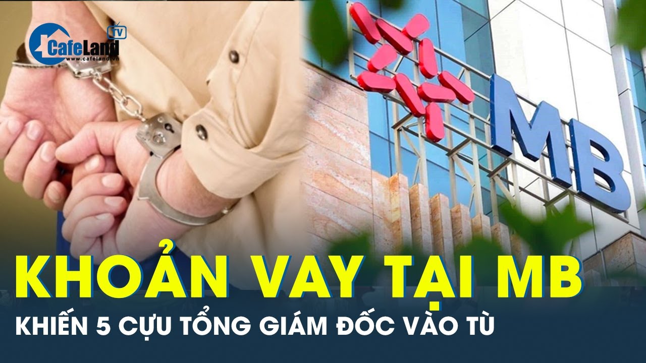 Vay tiền của MB: 5 cựu Tổng Giám đốc Công ty Cadovimex bị khởi tố | CafeLand