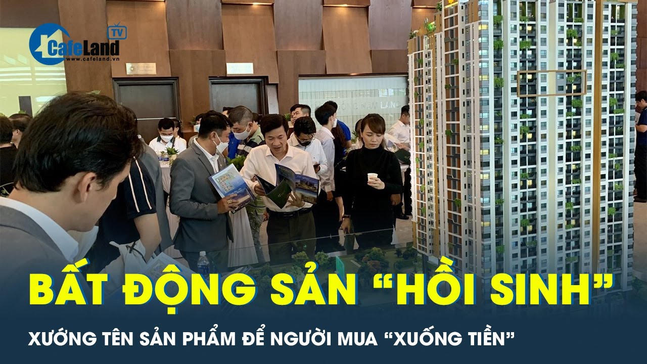 Bất động sản phục hồi sau giai đoạn xuống đáy, đất nền vẫn là “vua”? | CafeLand