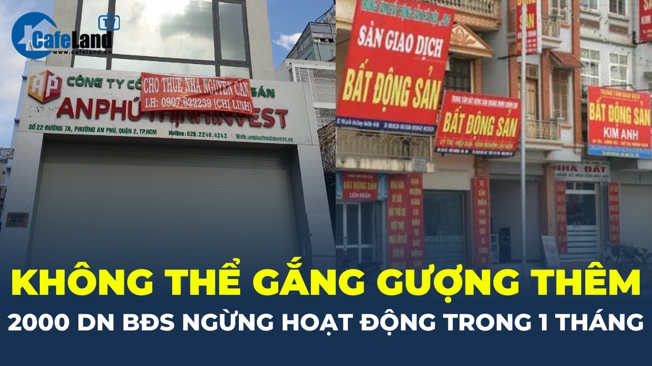 Không thể GẮNG GƯỢNG thêm, 2.000 doanh nghiệp BĐS đồng loạt NGỪNG HOẠT ĐỘNG trong 1 tháng | CafeLand