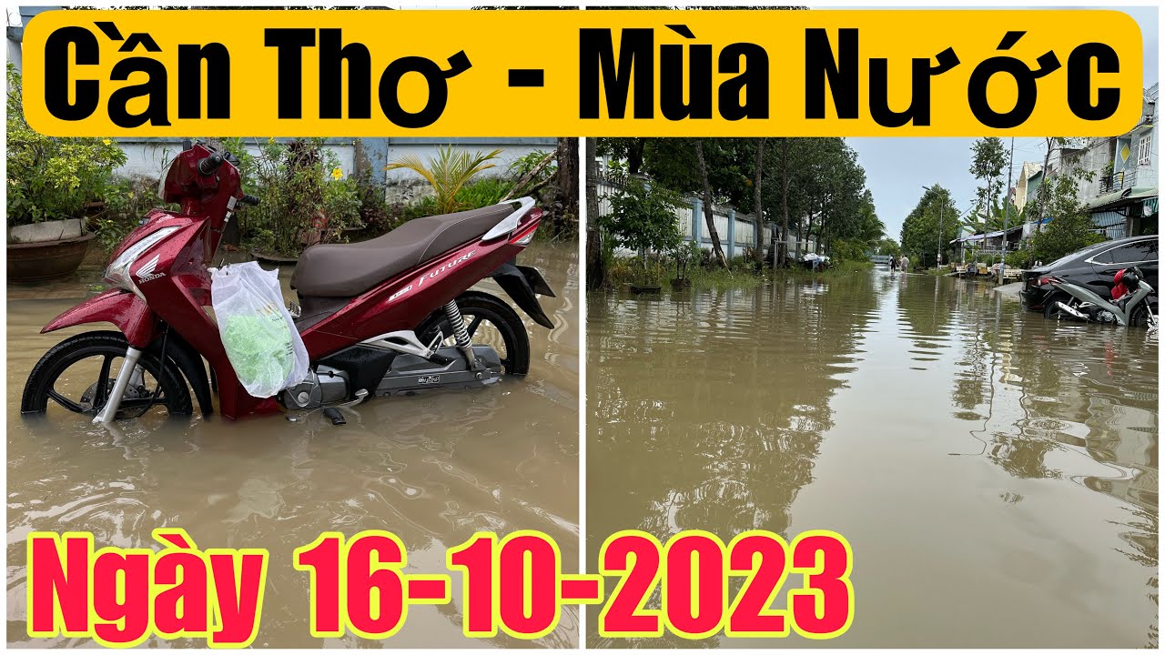 CẦN THƠ MÙA NƯỚC : kDC An Thới NGÀY 16-10-2023 - can tho ky su