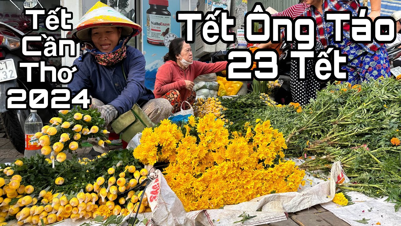 Tết Cần Thơ 2024, Chợ Tết An Hoà🌺2-2-2024🌺cần thơ ký sự