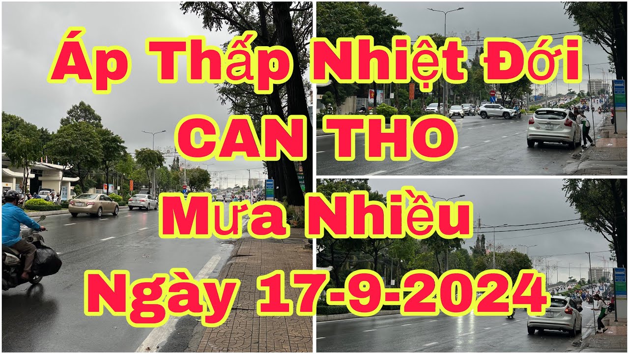 CẦN THƠ MƯA CHIỀU🌺ngày 17-9-2024🌺cần thơ ký sự