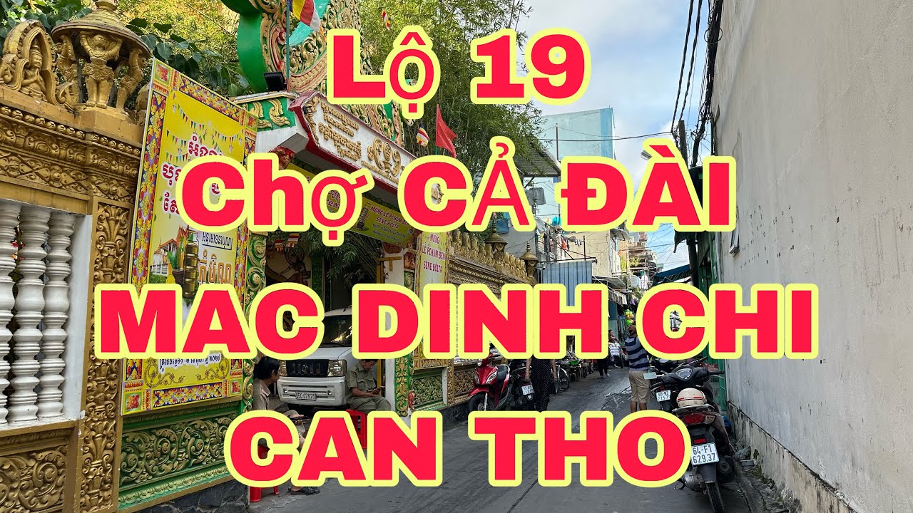 LỘ 19, CHỢ CẢ ĐÀI, ĐƯỜNG MẠC ĐỈNH CHI TP CẦN THƠ🌺ngày 2/10/2024🌺cần thơ ký sự