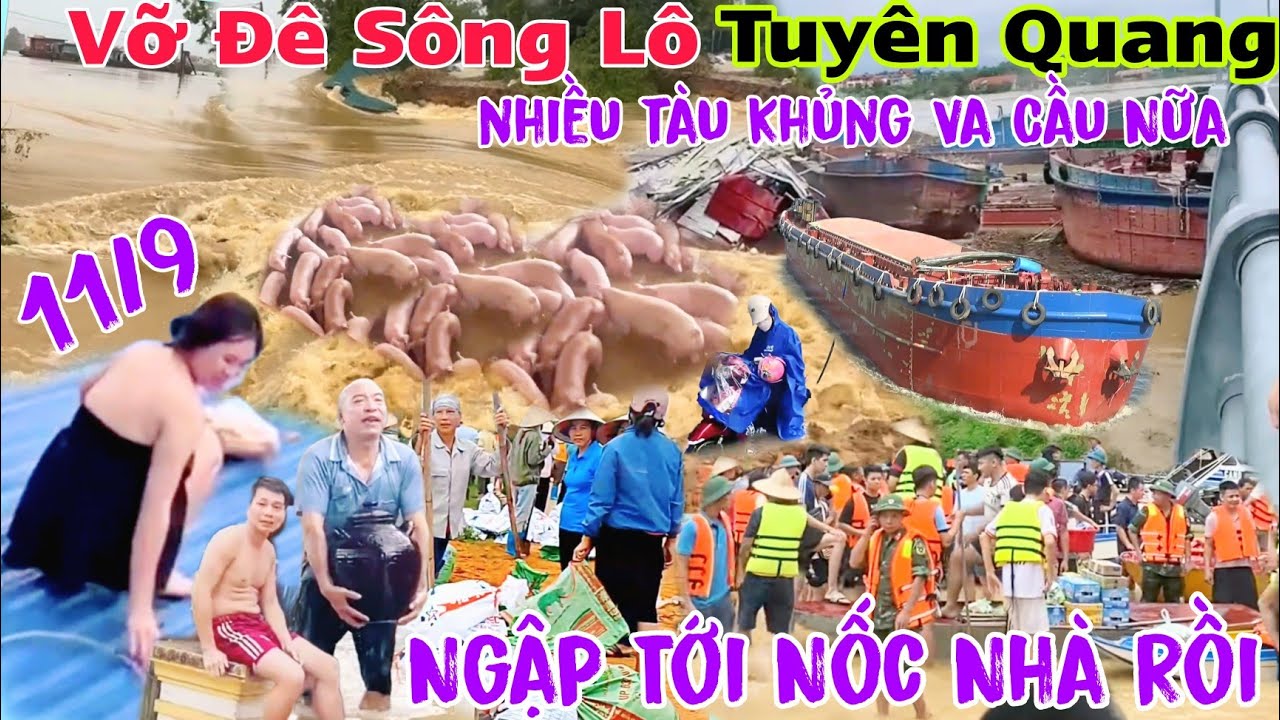 Tin Nóng Vỡ Đê Sông Lô Tuyên Quang hãi hùng cùng Lúc nhiều tàu khủng Va Cầu nổi ốc cục