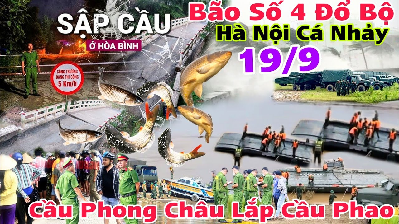 Bão Số 4 Đổ Bộ Hoà Bình Sập Cầu, Cầu Phong Châu Chuẩn Bị Lắp Cầu Phao, Hà Nội Hiện Tượng Cá nhảy