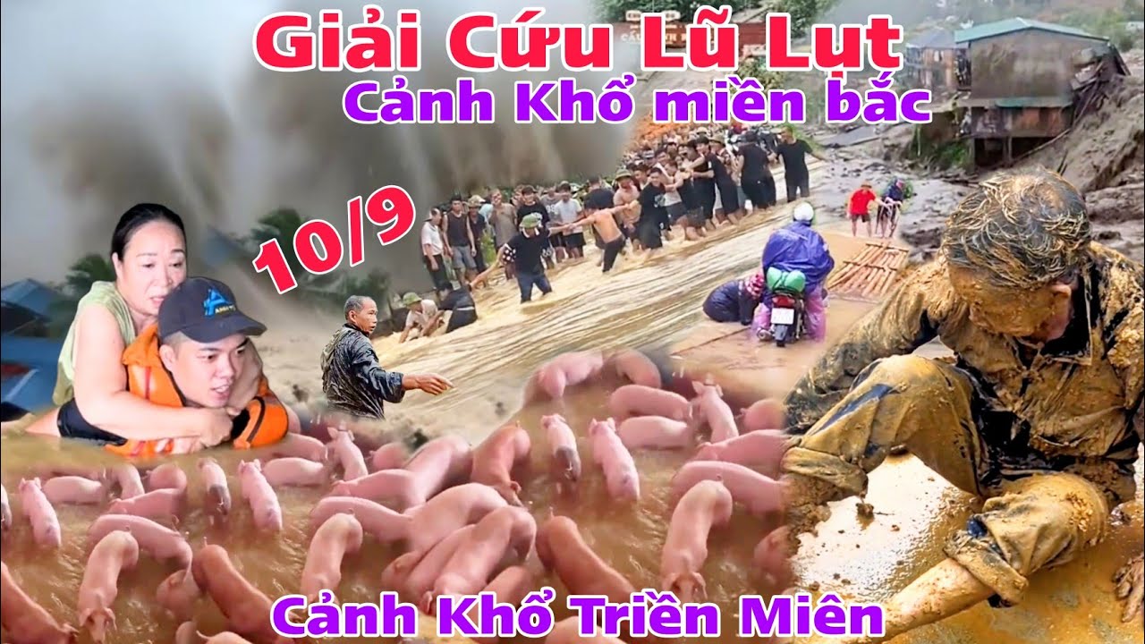 Kinh Hoàng Cảnh Giải Cứu Lũ Lụt Miền Bắc Xuyên Đêm chìm trong biển nước cảnh khổ triền miên