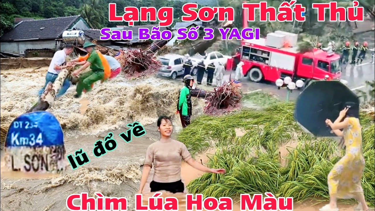 Lạng Sơn Thất Thủ Sau bão số 3 đổ bộ YAGI chìm lúa hoa màu , Hà Nội nhà cửa cây cối ngã đổ hoang tàn