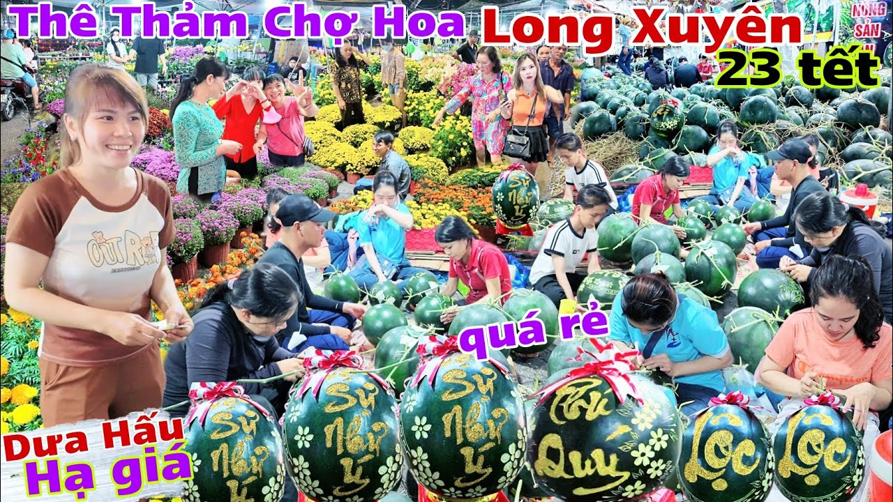 Khủng Khiếp Dưa Hấu Đổ Bộ Chợ Hoa Tết Long Xuyên 2024 ngày 23 tết Hạ Giá Hoa Phân Nửa Vẫn vắng khách