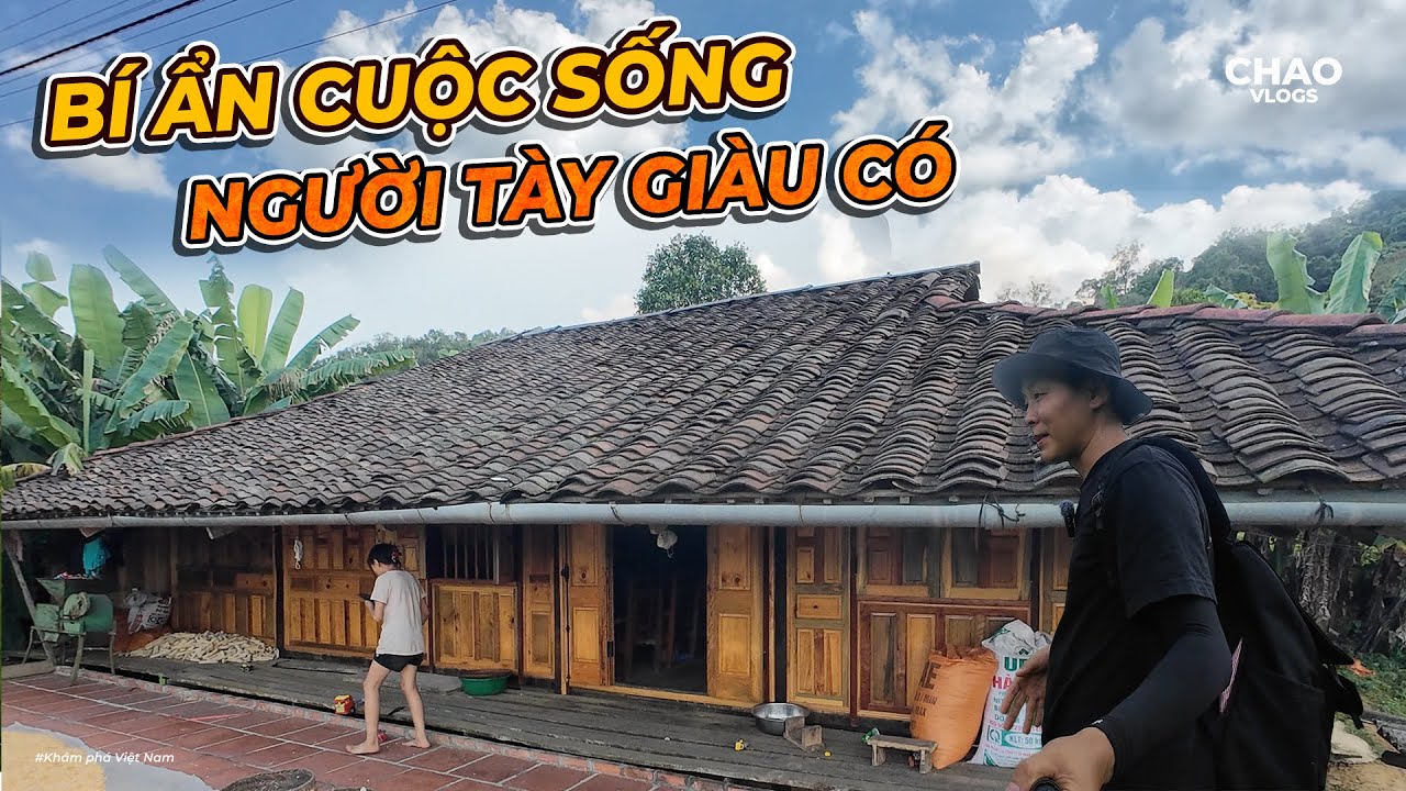 Những Người Tày “Cả Ngày Ở Trên Cây” Nhưng Lại Rất Giàu Ngày Kiếm Tiền Triệu..!!