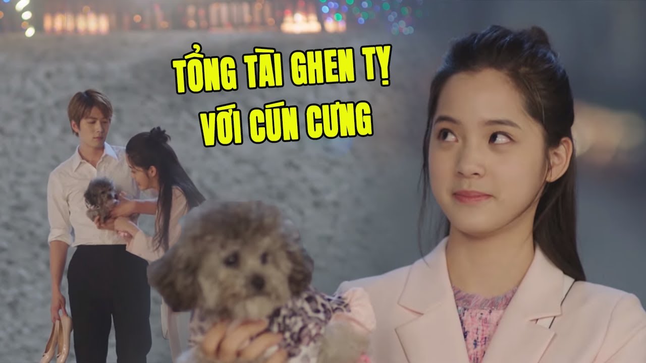 Tổng Tài Làm Nũng Với Người Yêu Vì Không Bằng Cún Cưng | Phim Ngôn Tình Trung Quốc Hay Nhất