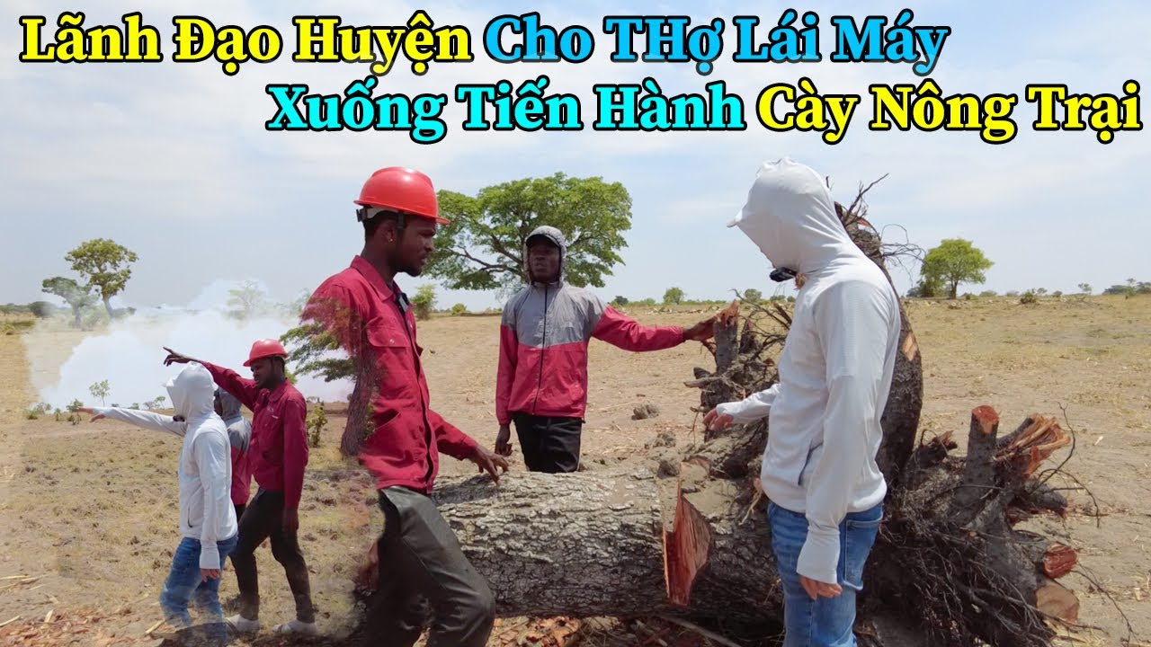 Công Giáp || Thở Phào Nhẹ Nhõm Khi Biết Tin Lãnh Đạo Huyện Cho Thợ Lái Máy Xuống Cày Nông Trại !!!