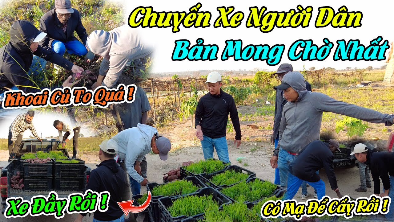 Chuyến Xe Người Dân Bản Mong Chờ Nhất Đã Đầy - Hành Trình 700km Mang Giống Về Cho Người Dân Sẽ NTN ?