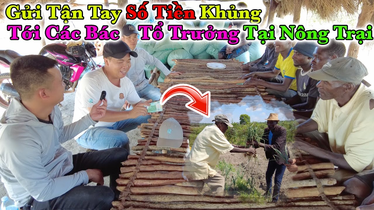 Công Giáp || Các Bác Tổ Trưởng Tại Nông Trại Bất Ngờ Khi Nhận Được Số Tiền Khủng Từ 100kg Cà Pháo ??