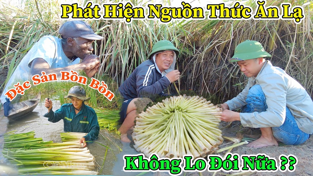 Công Giáp || Không Còn Lo Đói Nữa ! Phát Hiện Nguồn Thức Ăn Dồi Dào, Đặc Sản Miền Tây Việt Nam ???