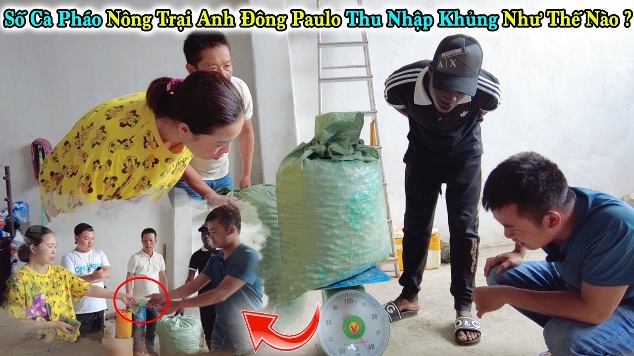 Công Giáp II Bất Ngờ Với Số Tiền Thu Về Từ 100kg Cà Pháo Của Nông Trại Đông Paulo Gửi Lên Bán??