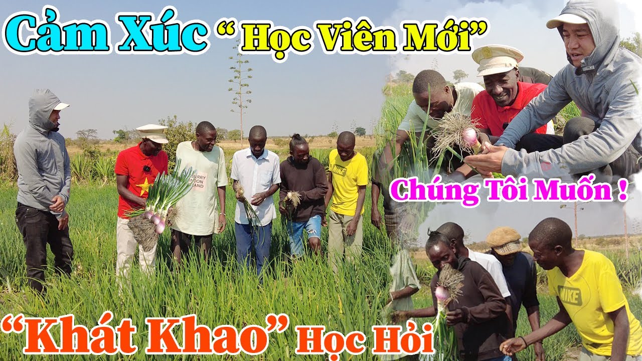 Công Giáp || Chúng Tôi Rất Muốn ! Cảm Xúc Của "HỌC VIÊN" Mới, Khi Nhìn Thấy Nông Sản Tại Nông Trại ?