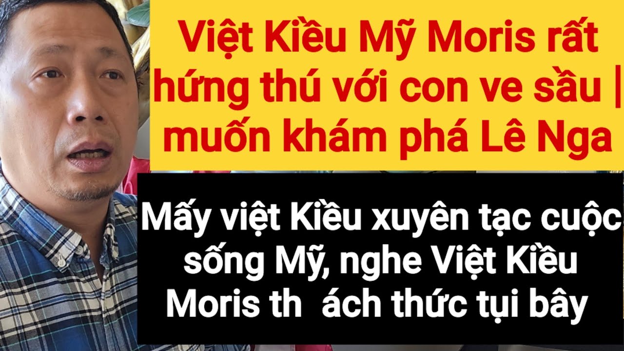 Anh Moris nhắn gửi con ve sầu Nga Lê  và nhóm việt Kiều thất bại