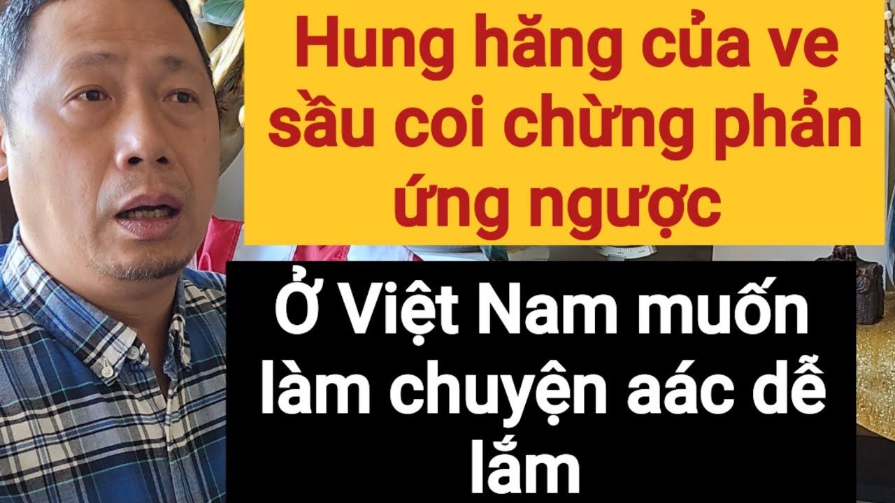 Lại là con Ve Sầu | Qua Mỹ làm nail ngày có vài chục đô la | Việt Kiều Mỹ vất vả giữ lắm