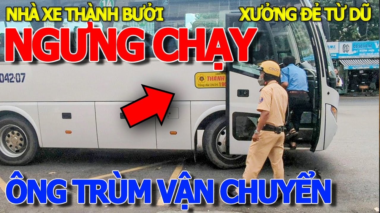 Nhà xe THÀNH BƯỞI ĐỒNG LOẠT ĐỘT NGỘT NGƯNG CHẠY bà con đi ĐÀ LẠT & CẦN THƠ RA SAO - XƯỞNG ĐẺ TỪ DŨ