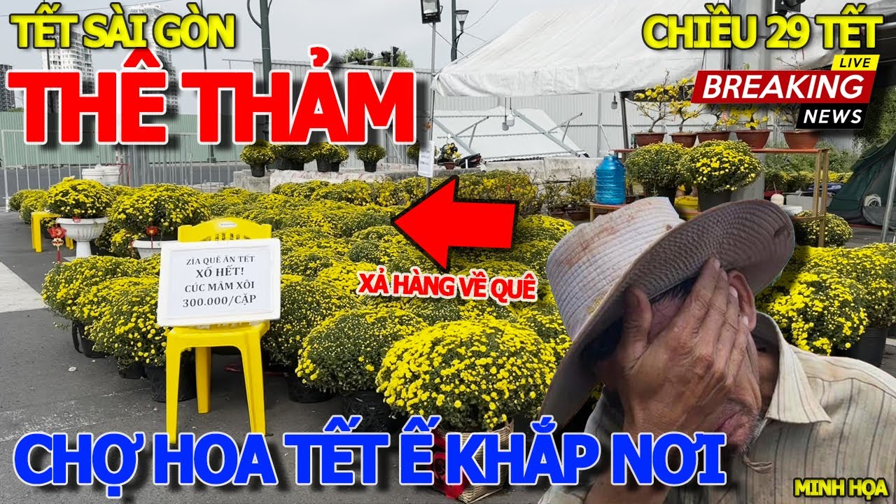 Toàn cảnh CHỢ HOA TẾT SÀI GÒN Ế HÀNG CHƯA TỪNG THẤY - NGỘP TRỜI HOA KIỂNG KHẮP NƠI CHỜ KHÁCH 29 TẾT