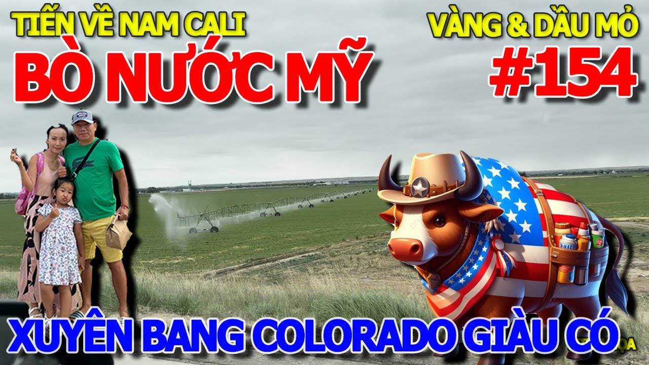 BÒ MỸ KHẮP MỌI NƠI - XUYÊN BANG XỨ THIÊN ĐƯỜNG AI CŨNG MUỐN ĐẾN - TIỂU BANG COLORADO VÀNG & DẦU MỎ