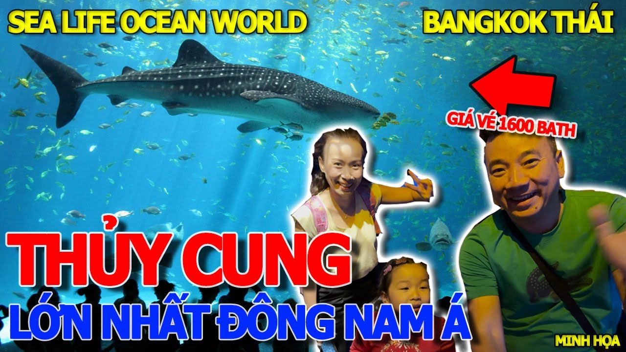 Kinh ngạc khám phá SEA LIFE BANGKOK OCEAN WORLD THỦY CUNG LỚN NHẤT ĐÔNG NAM Á - DU LỊCH THÁI LAN