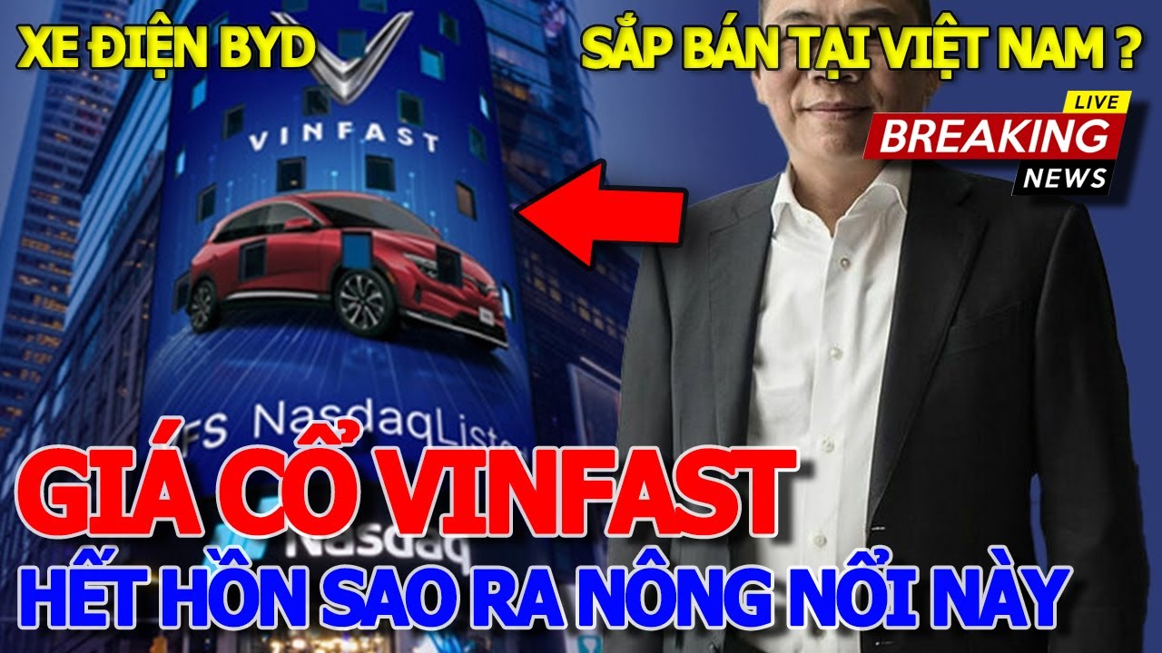 Bất ngờ GIÁ CỔ PHIẾU VFS XE VINFAST SAO RA NÔNG NỔI NÀY & ÔNG TRÙM XE ĐIỆN BYD SẮP BÁN VÀO VIỆT NAM