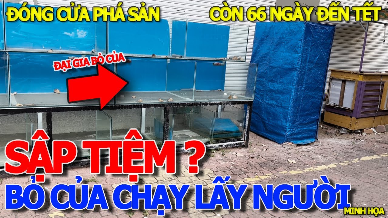 Rồi xong TAN TÀNH MÂY KHÔNG đại gia sập tiệm THÁO CHẠY NHIỀU QUÁ - CẦU THỦ THIÊM 4 & TRỊNH MINH THẾ