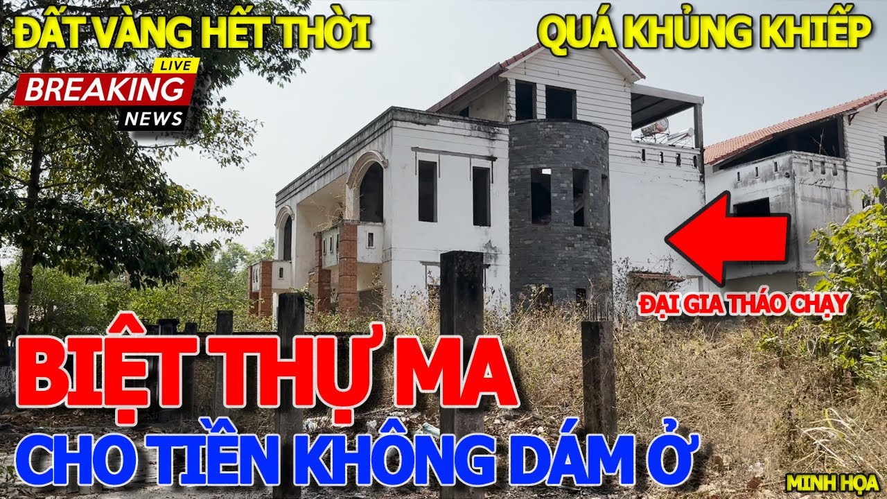 Thảm cảnh ĐẠI GIA ÔM ĐẤT CHỜ THỜI "LÊN GIÁ" - XÓM BIỆT THỰ BỎ HOANG KHÔNG BÓNG NGƯỜI KHU NHƠN TRẠCH