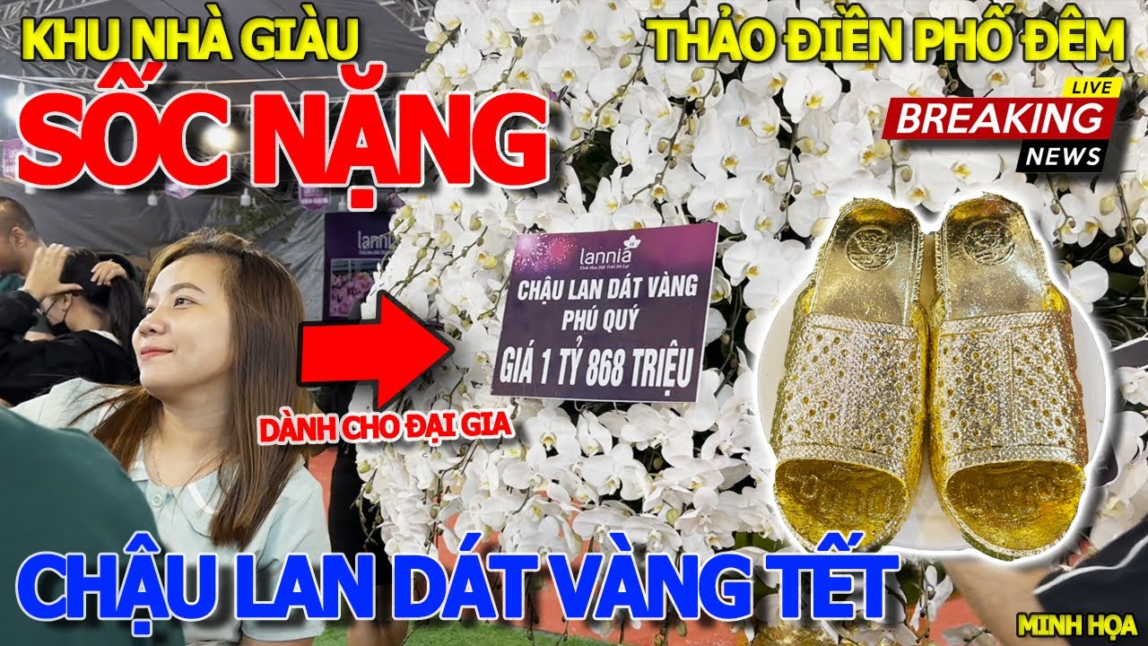 Sững sờ CHẬU LAN DÁT VÀNG 1 TỶ 868 TRIỆU & ĐÔI DÉP TỔ ONG RAO BÁN Ở PHỐ ĐÊM THẢO ĐIỀN - KHU ĐẠI GIA