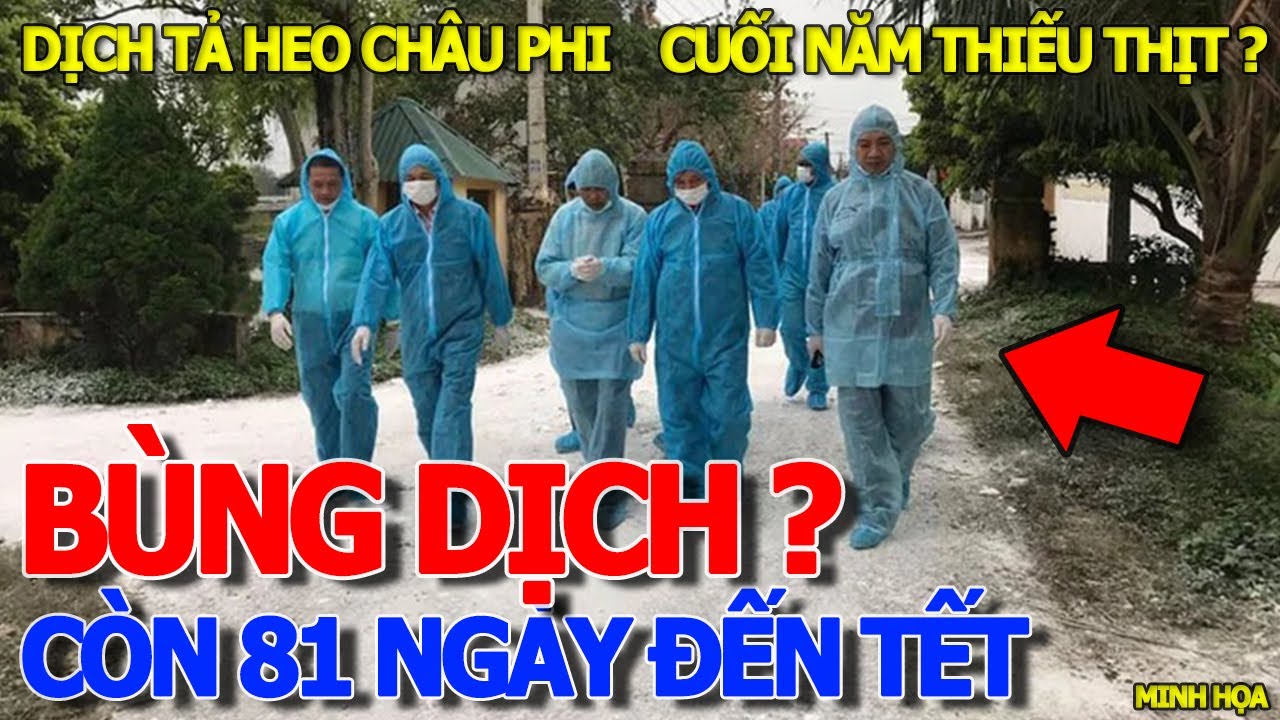 Tin. nóng DỊCH.TẢ.HEO.CHÂU PHI BÙNG PHÁT LAN RỘNG ? - tình hình CÒN 81 NGÀY ĐẾN TẾT GIÁP THÌN