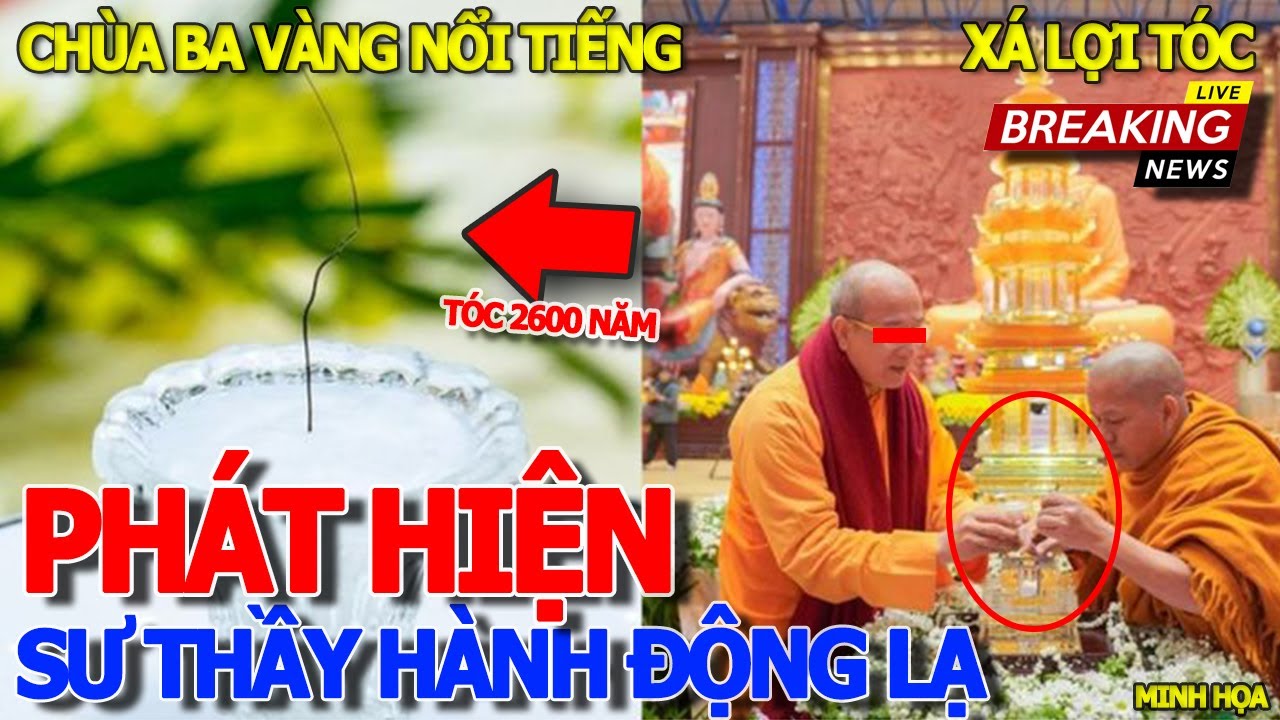 Phát hiện HÀNH ĐỘNG LẠ CỦA SƯ THẦY CHÙA BA VÀNG "XÁ LỢI TÓC" 2600 NĂM - CÀ PHÊ BỆT NHÀ THỜ ĐỨC BÀ